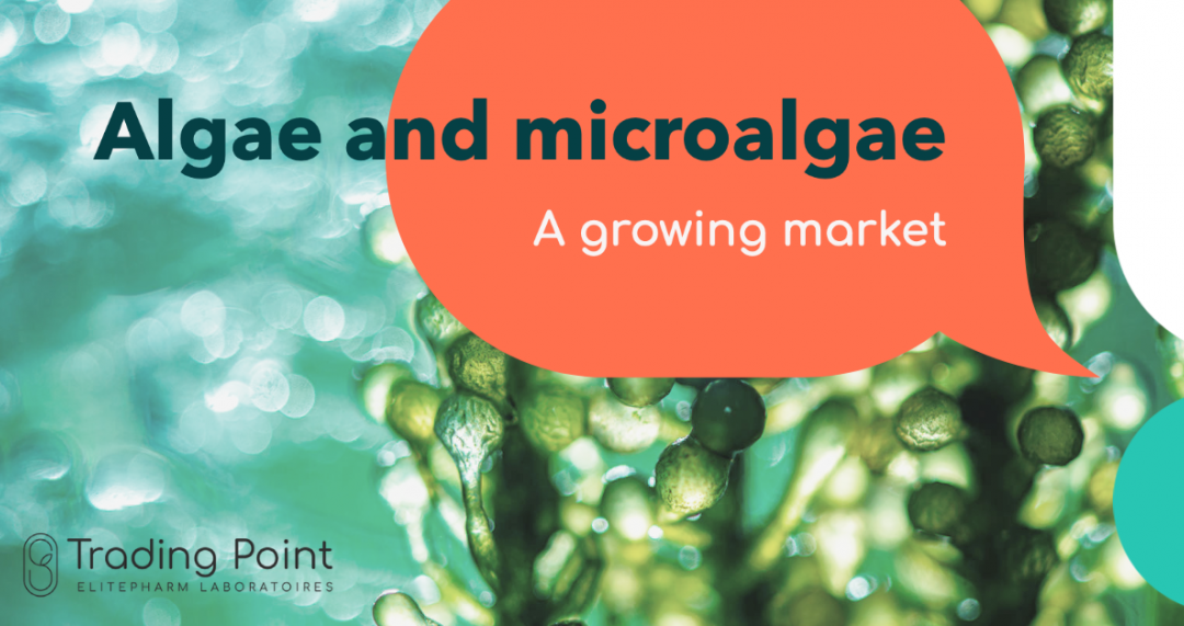 algae and microalgae
